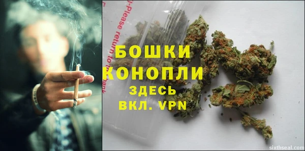 гидра Пересвет
