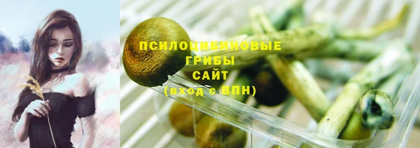 эйфоретик Переславль-Залесский