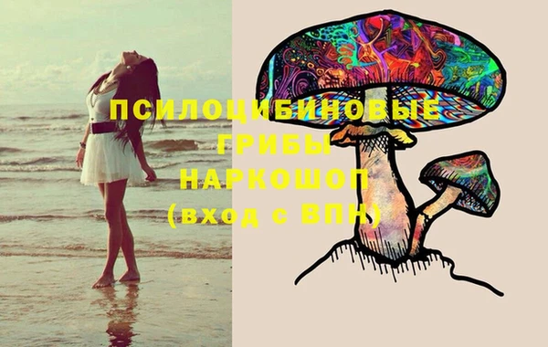 PSILOCYBIN Пестово