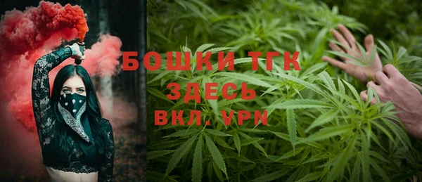 PSILOCYBIN Пестово
