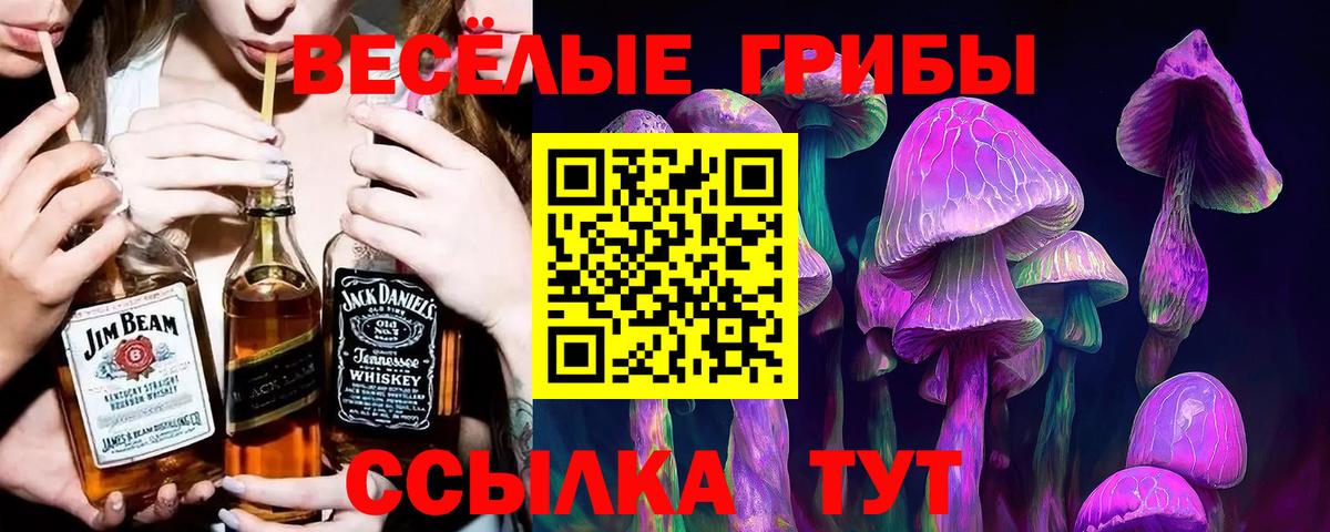 Галлюциногенные грибы мицелий Татарск