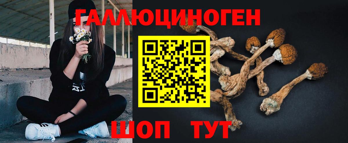 Галлюциногенные грибы GOLDEN TEACHER  Вход с VPN  наркошоп  Татарск 